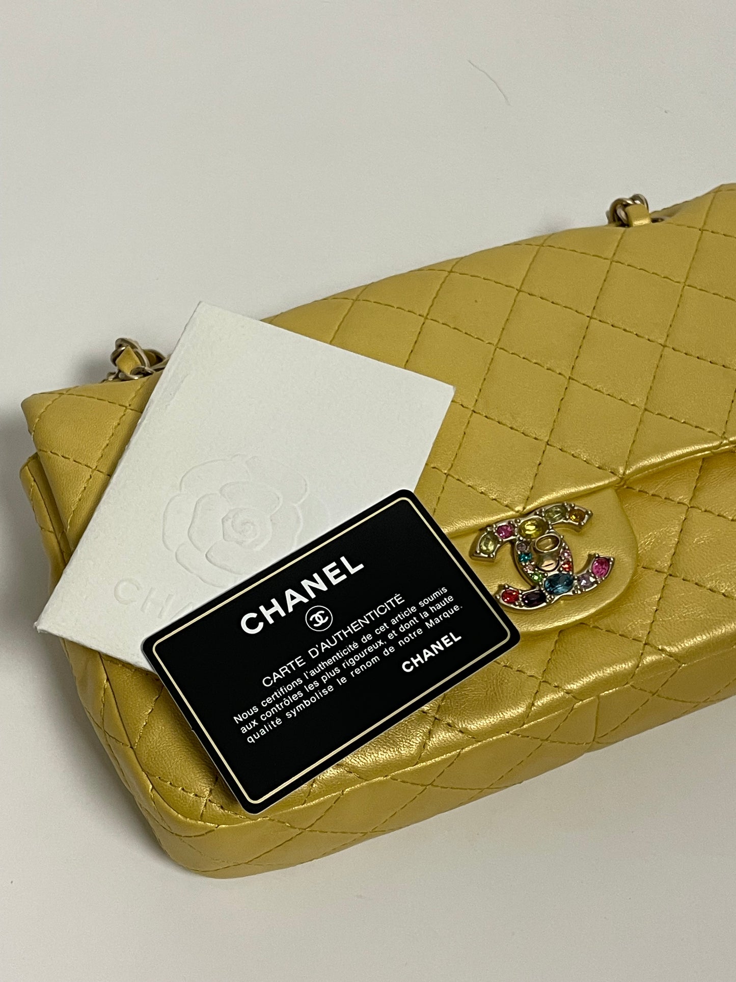 CHANEL jewelled flap bag