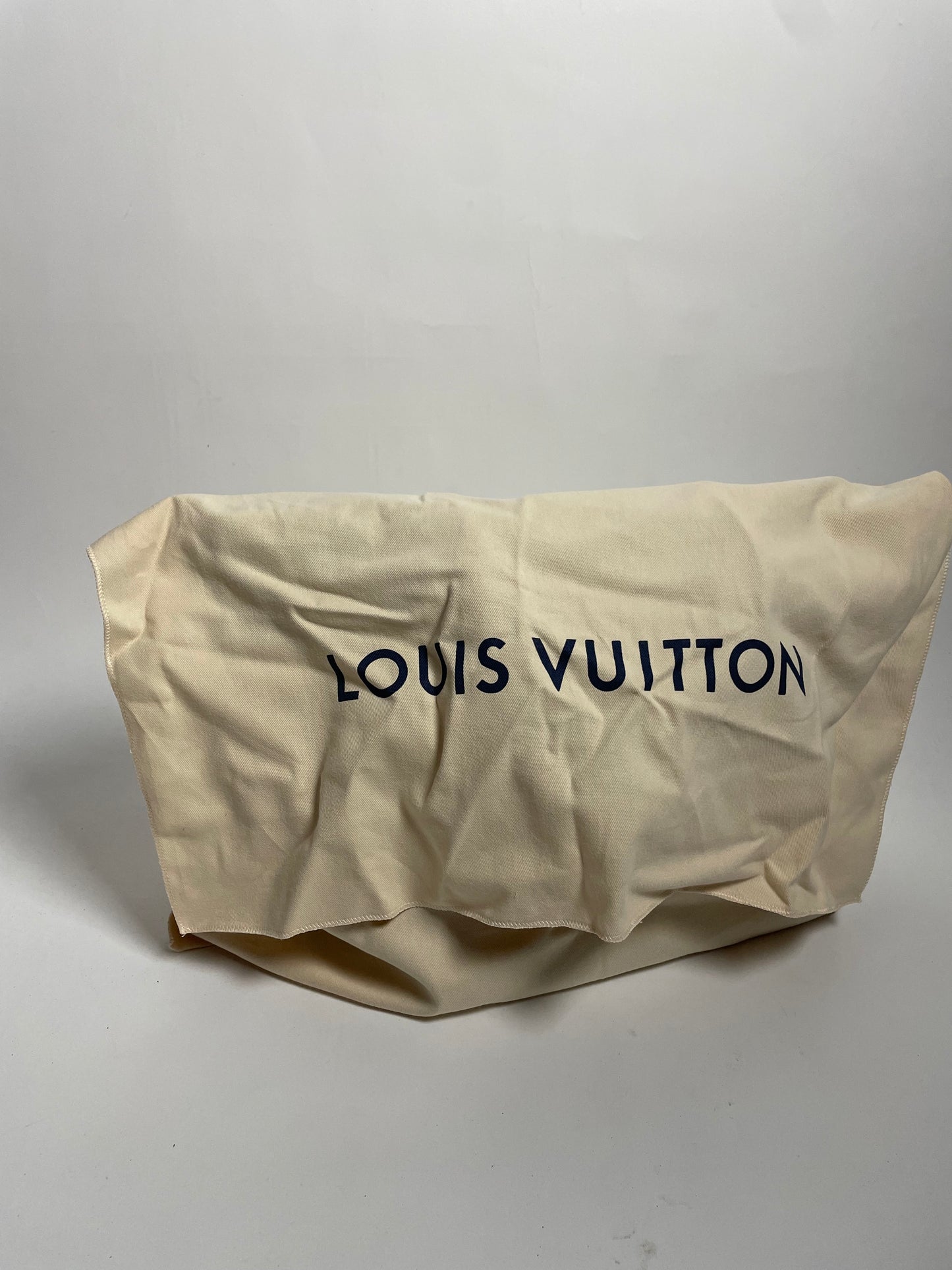 Louis Vuitton Neverfull pm