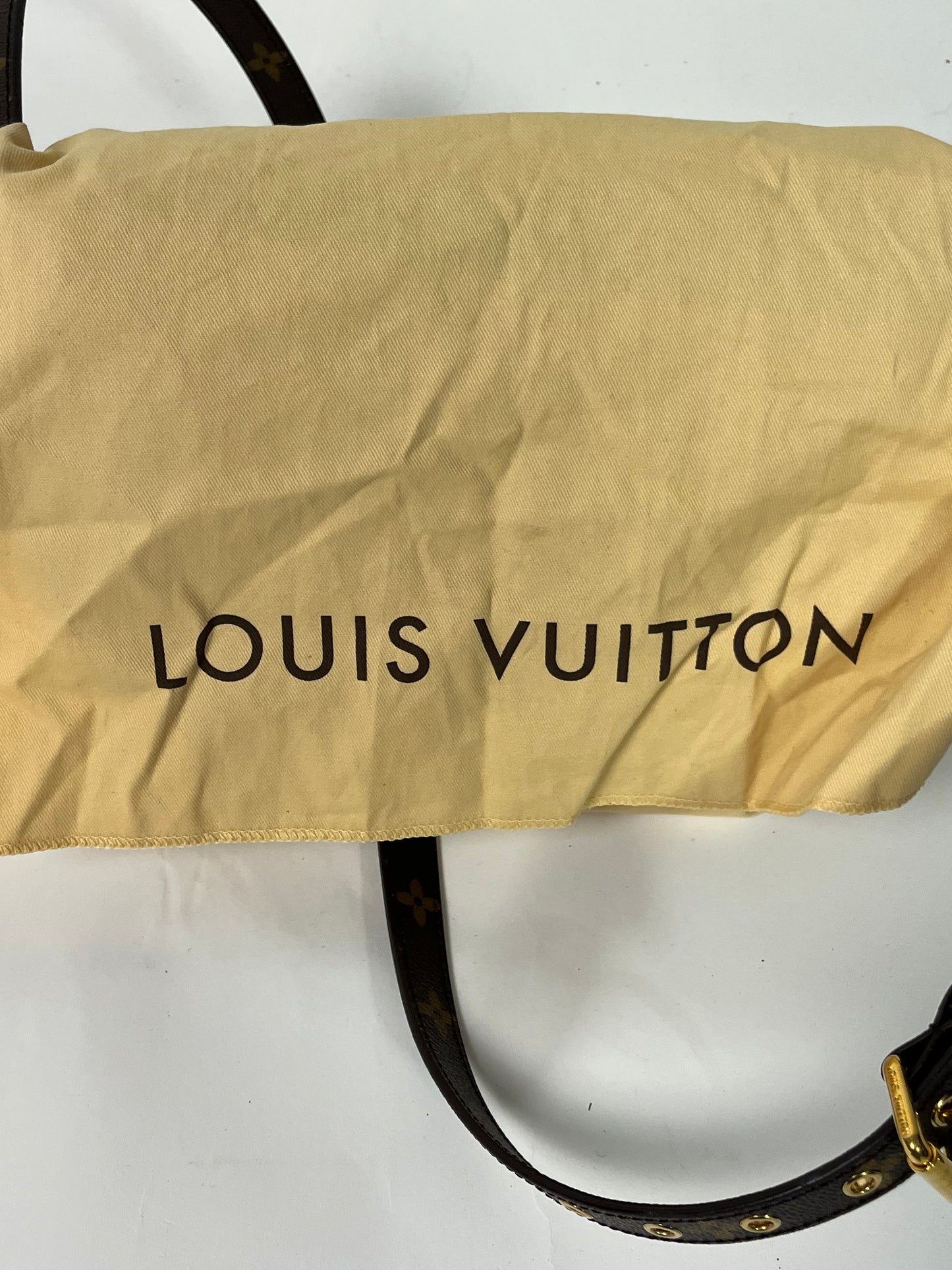Louis Vuitton metis pochette