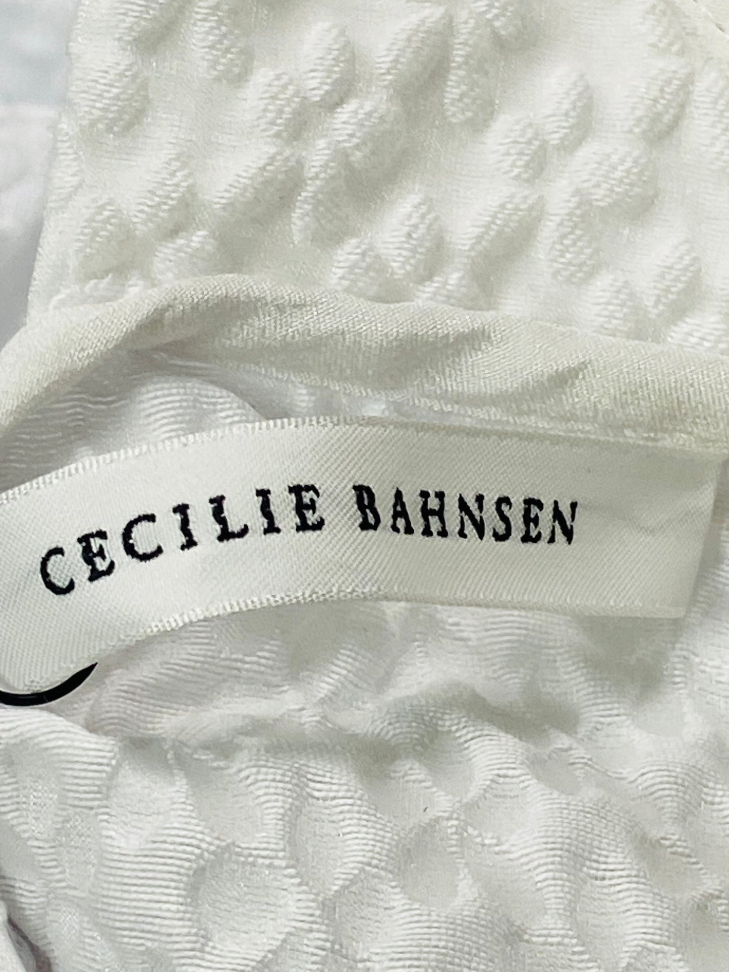 Cecilie Bahnsen day dress