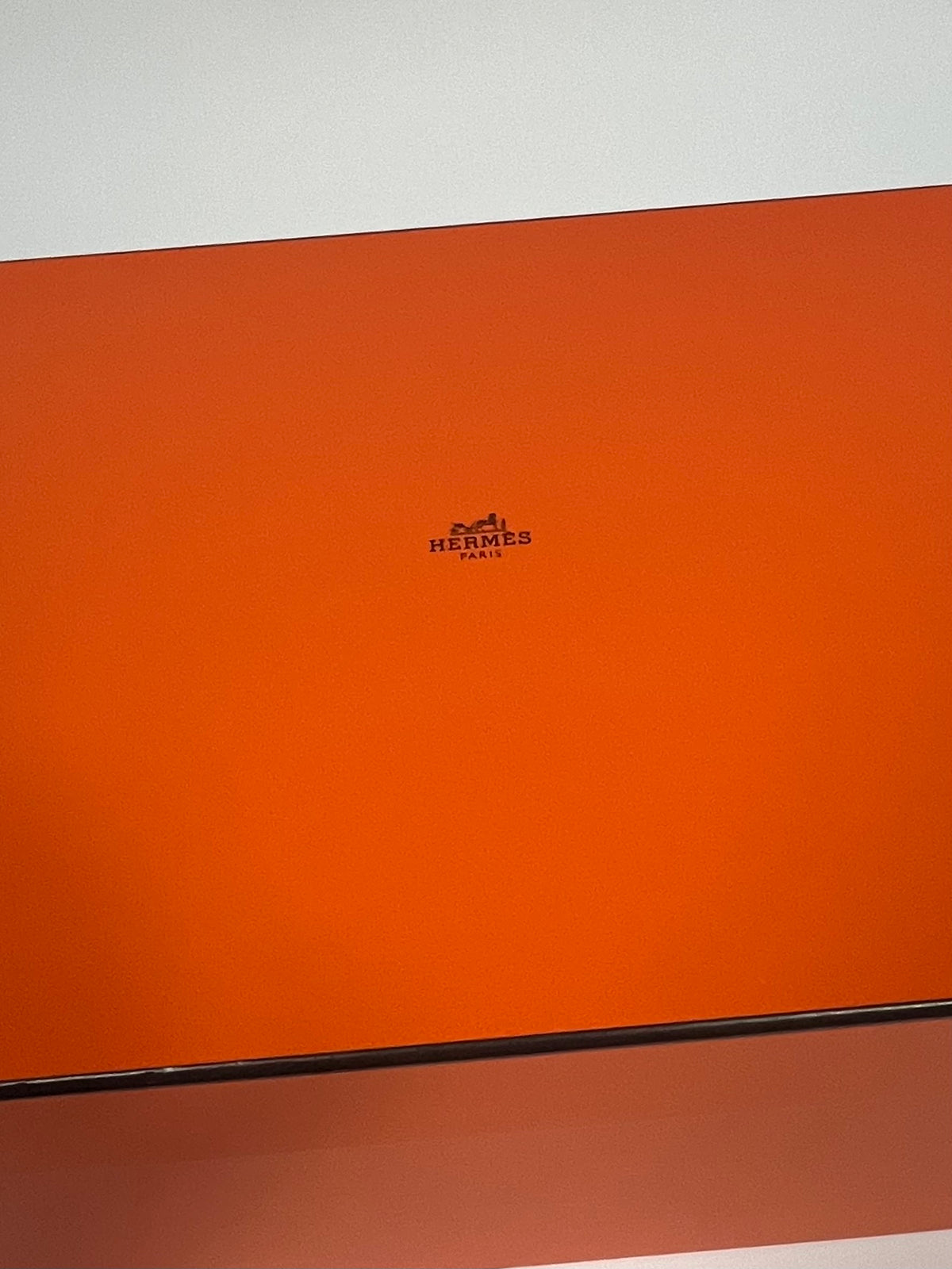Hermes Picotin 22