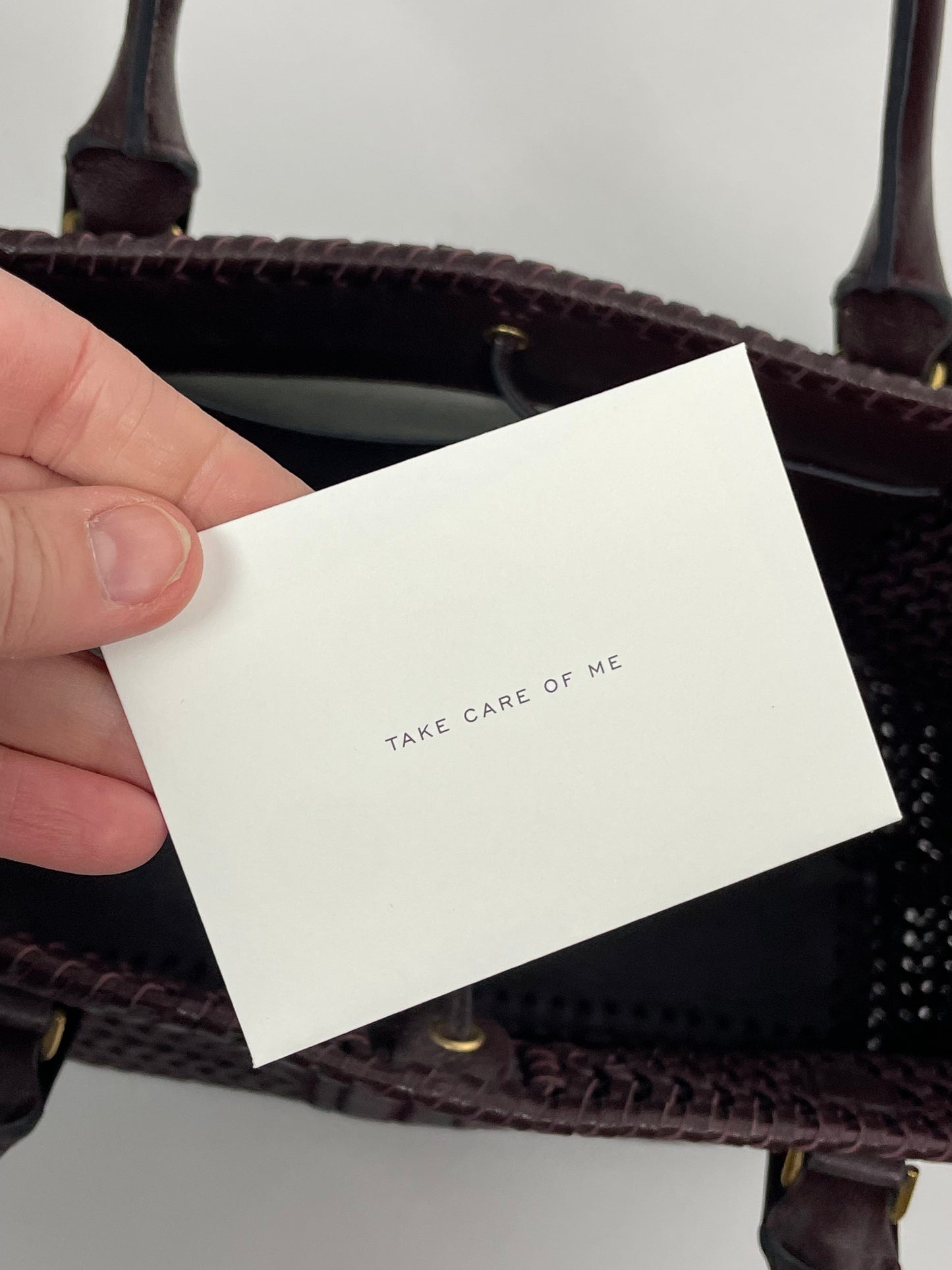 Anya Hindmarch Nesson  tote