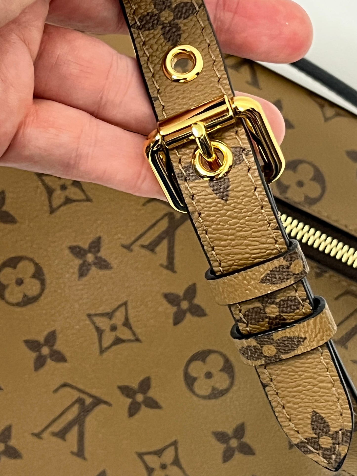 Louis Vuitton Metis Pochette
