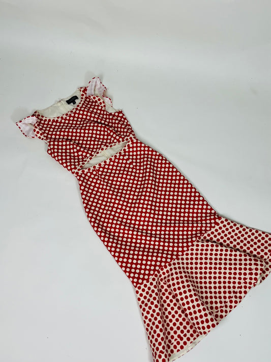 Saloni midi dress