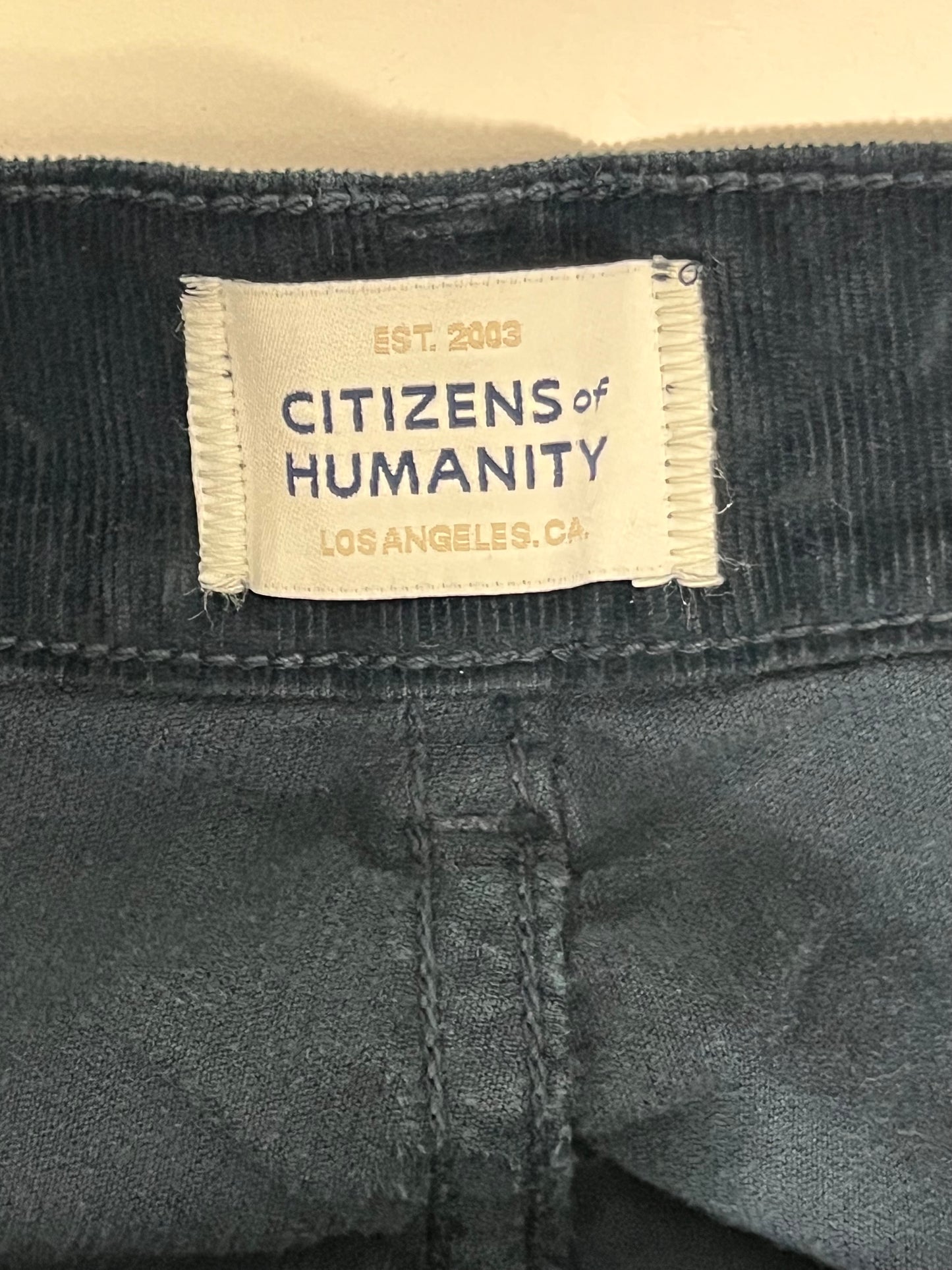 Citizens of Humanity needle point cord cargoes