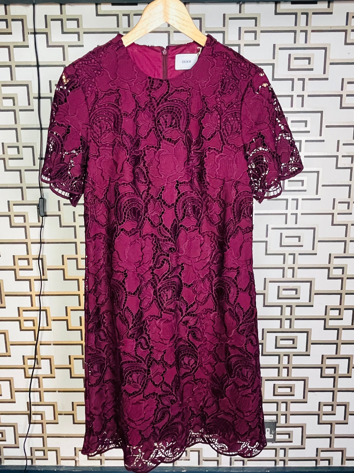 Erdem cut lace dress