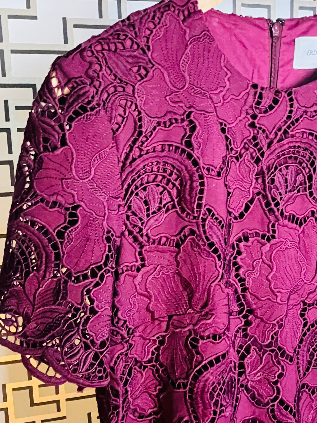 Erdem cut lace dress