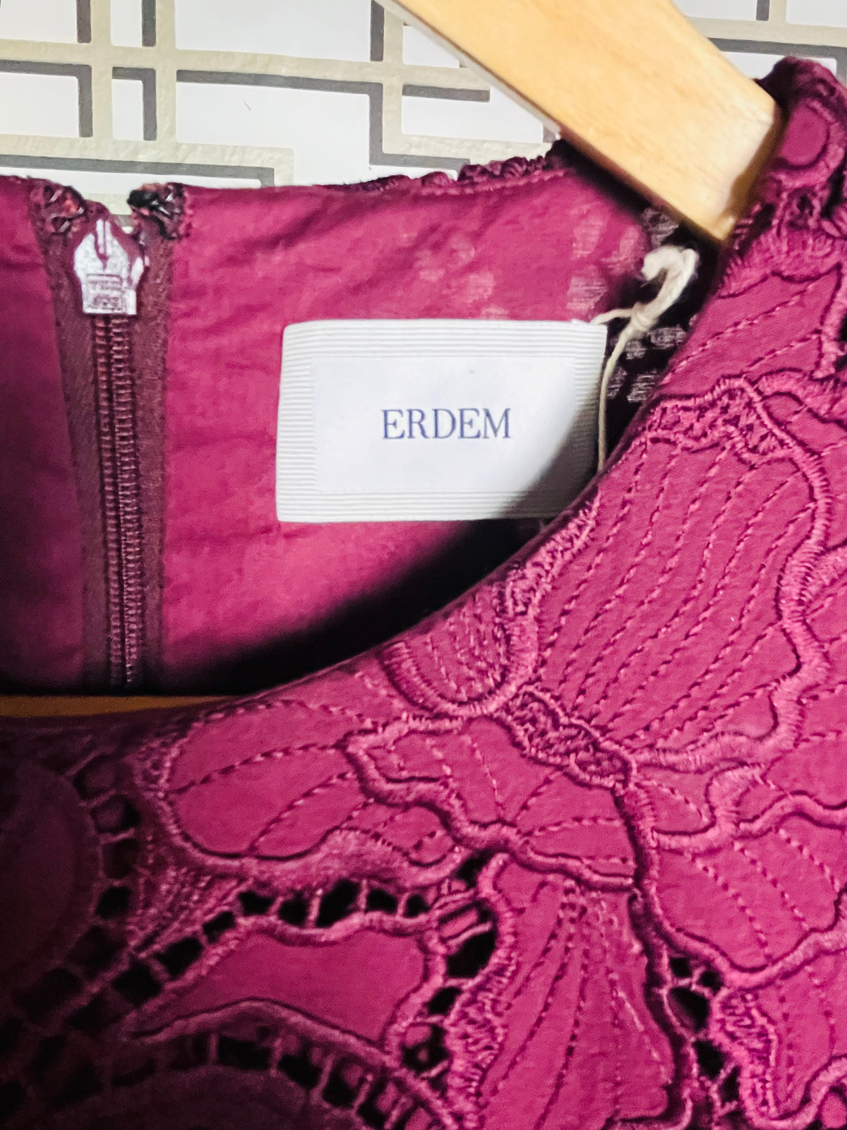 Erdem cut lace dress